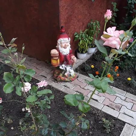 Casa Solo Costinesti